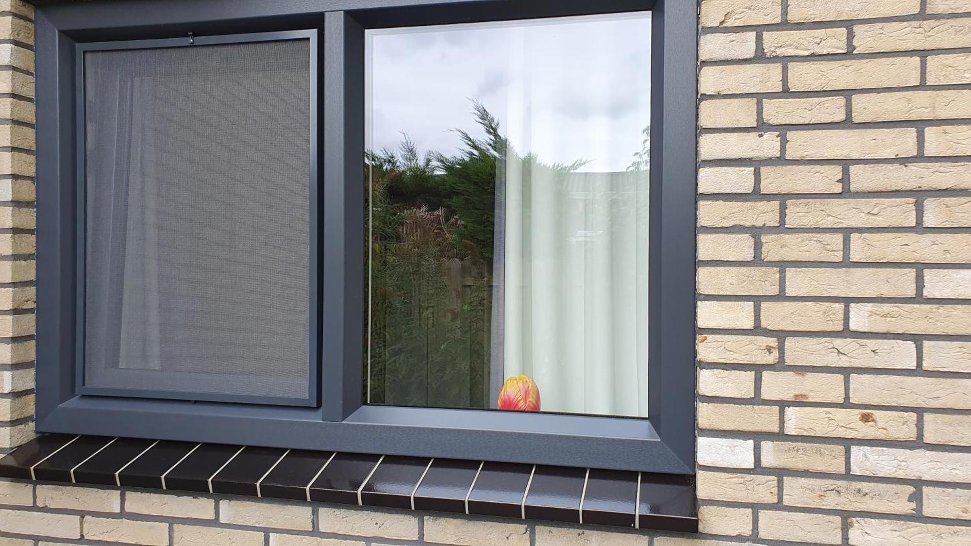 Dirkshorn Luxe Vakantiebungalow Met Omheinde Tuin Voor Hond En Kinderen מראה חיצוני תמונה